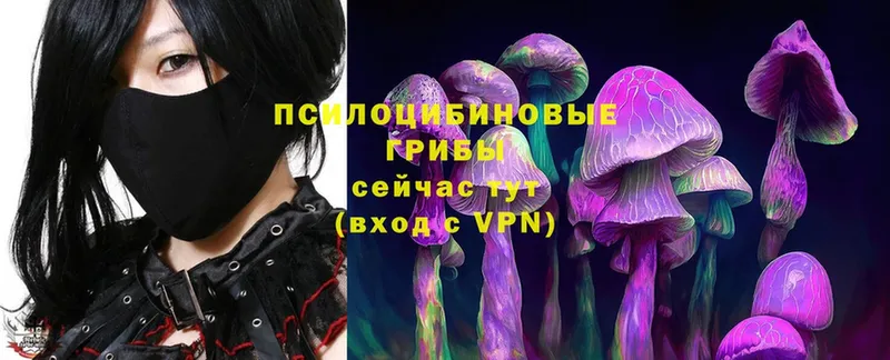 закладка  Адыгейск  ссылка на мегу ссылка  Псилоцибиновые грибы MAGIC MUSHROOMS 